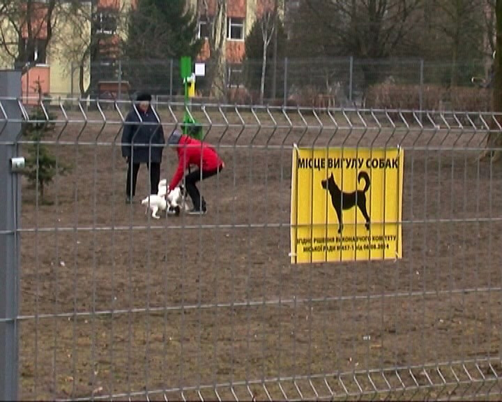 Лучани облаштували майданчик для вигулу собак (відео)