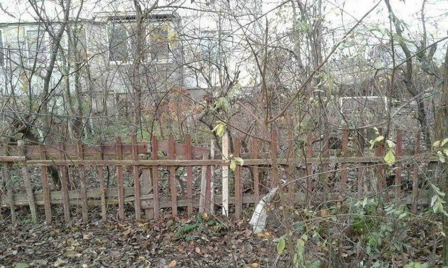 У Луцьку заборонили облаштовувати городи біля будинків (фото)