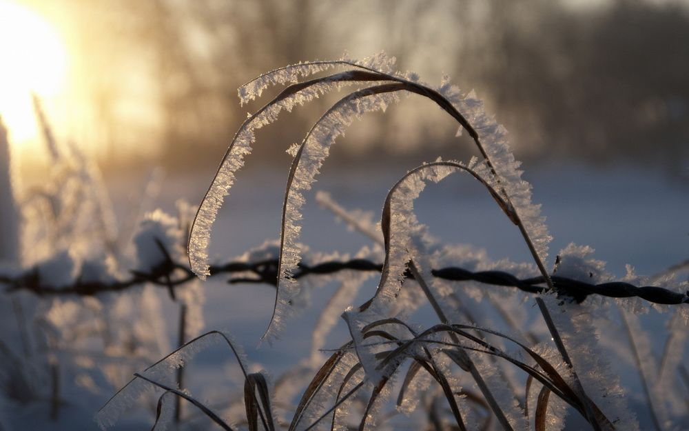 Без опадів: погода в Луцьку на четвер, 11 січня