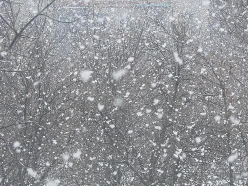 Сніжитиме: погода у Луцьку на вівторок, 19 грудня 