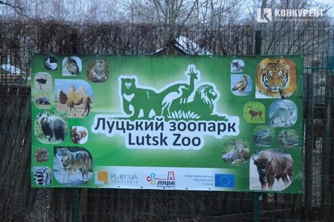 Луцький зоопарк цьогоріч заробив 2 мільйони гривень
