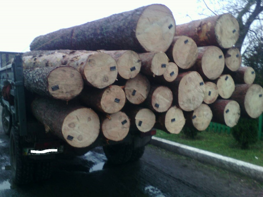 На Волині затримали вантажівку з незаконною деревиною 