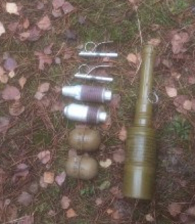 У лісі на Волині знайшли арсенал зброї (фото)