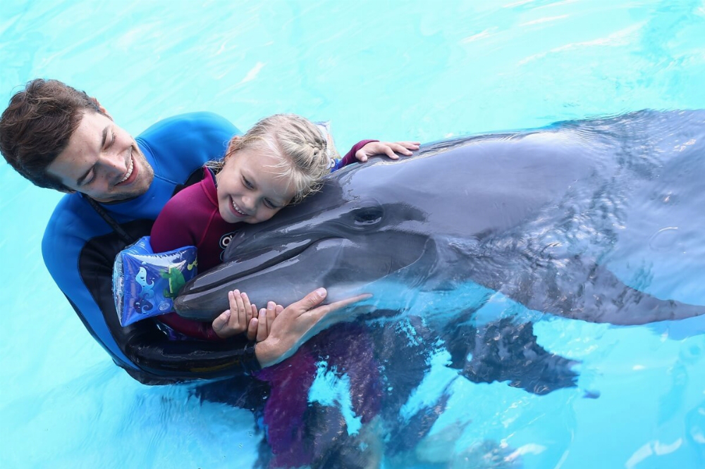 Дельфіни не лікують, – Супрун 