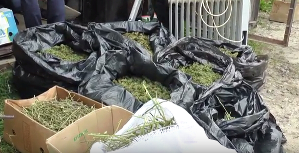 Зброя, наркотики, бурштин: що знайшли у гаражі лучанина (відео)