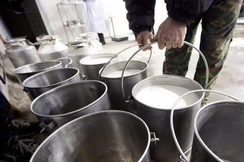 Антимонопольники оштрафували волинський молокозавод