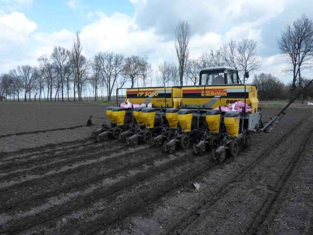 В Україні стартувала весняна посівна кампанія