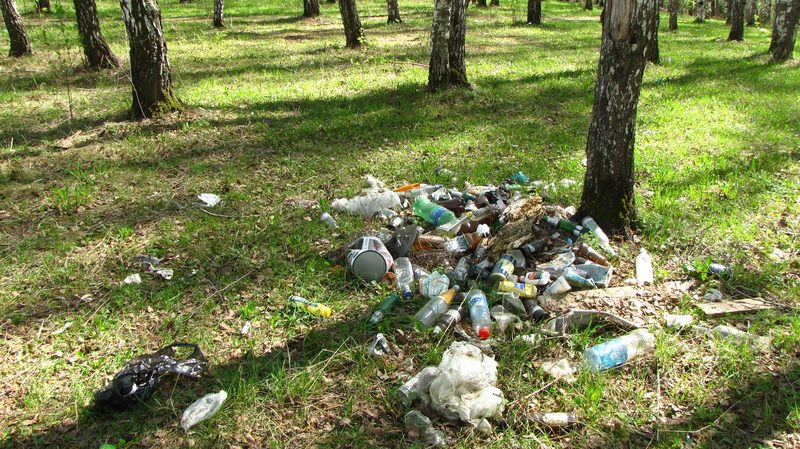 Нардепи в 5 разів збільшили штрафи за сміття в лісі 