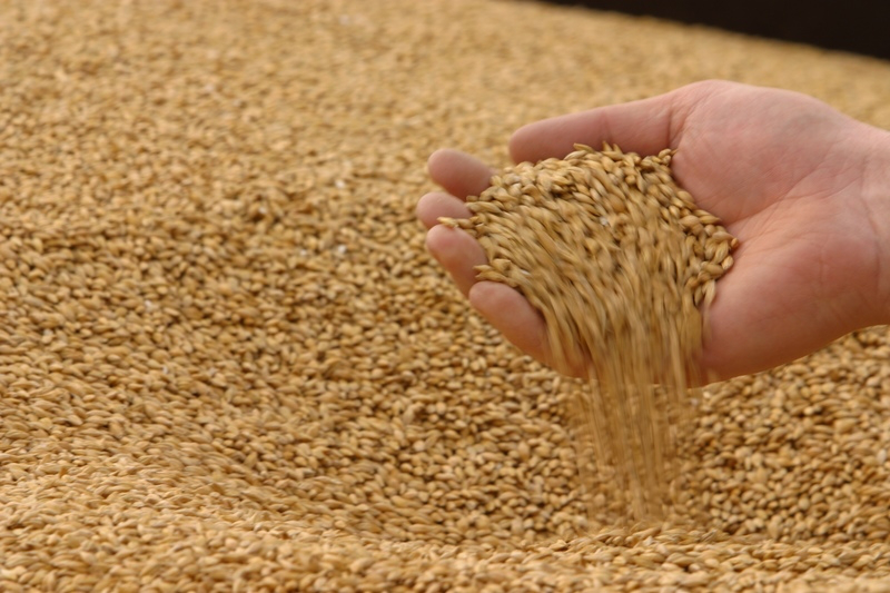 Україна експортувала рекордну кількість зерна 