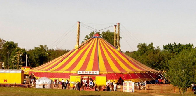 У Луцьку заборонили цирки, які використовують в своїй діяльності тварин