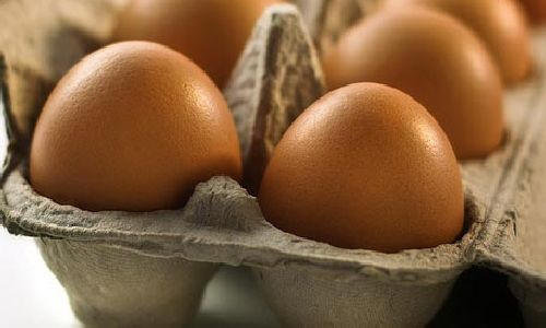 Антимонопольний комітет перевірить ціни на курячі яйця 