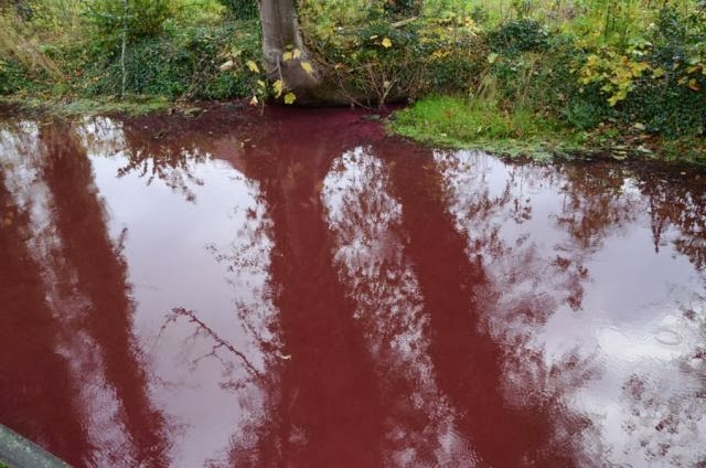 Червона вода налякала мешканців волинського села