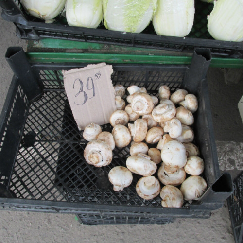 В Україні зросли ціни на гриби