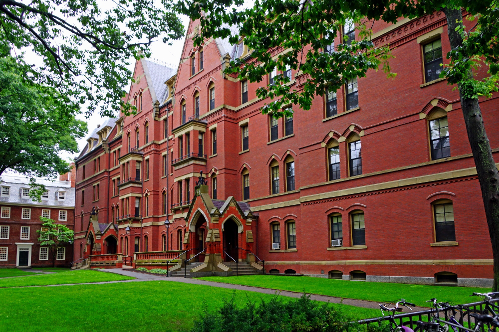 Українці зможуть безкоштовно навчатися у Гарварді