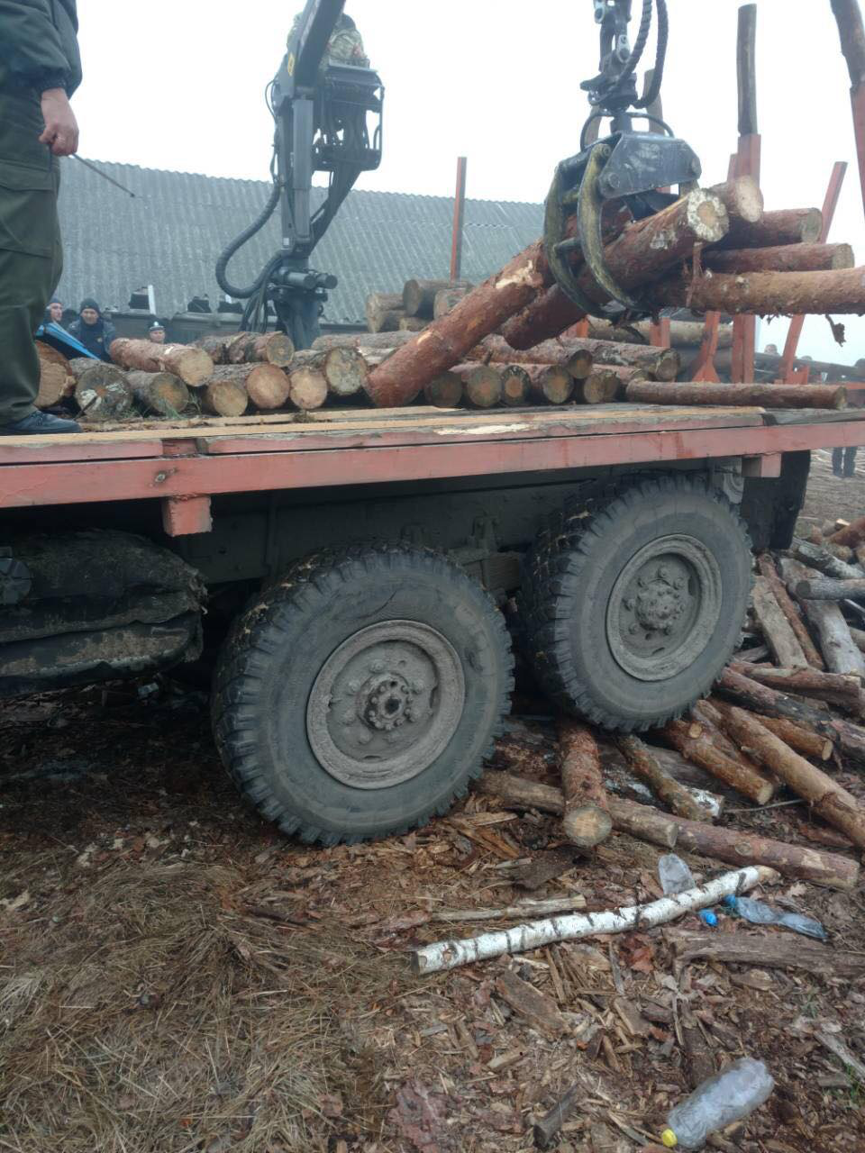 На Волині на пилорамі знайшли незаконну деревину (фото)