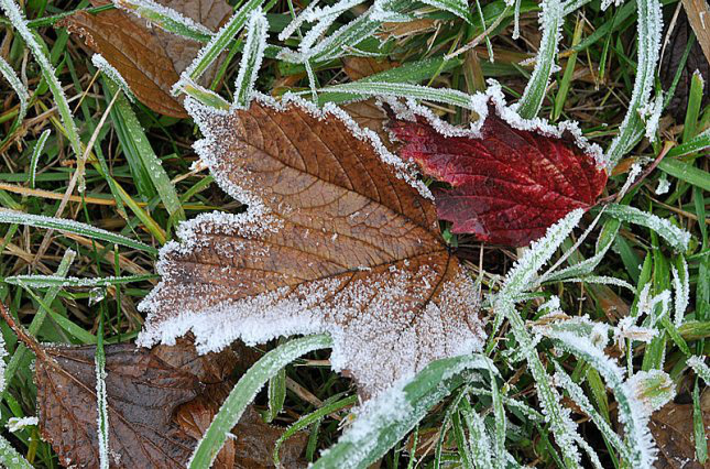 Перші заморозки: погода в Луцьку на п'ятницю, 16 листопада