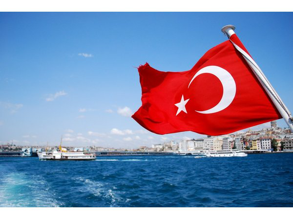 Туреччина спантеличена намірами США встановити військові пункти вздовж її кордону