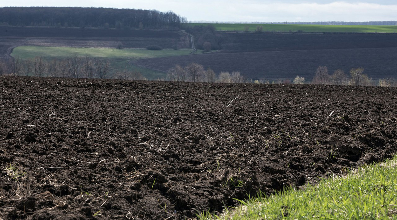 Чим загрожує продовження мораторію на продаж землі в Україні
