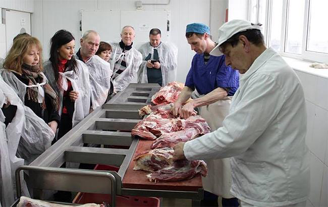 Експерти з ЄС перевірять виробництво м'яса на Волині