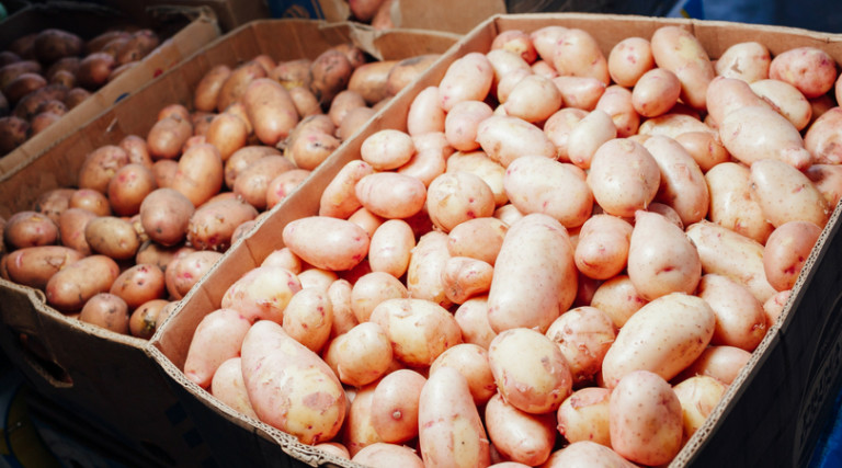 В Україні рекордно здорожчала картопля (відео)