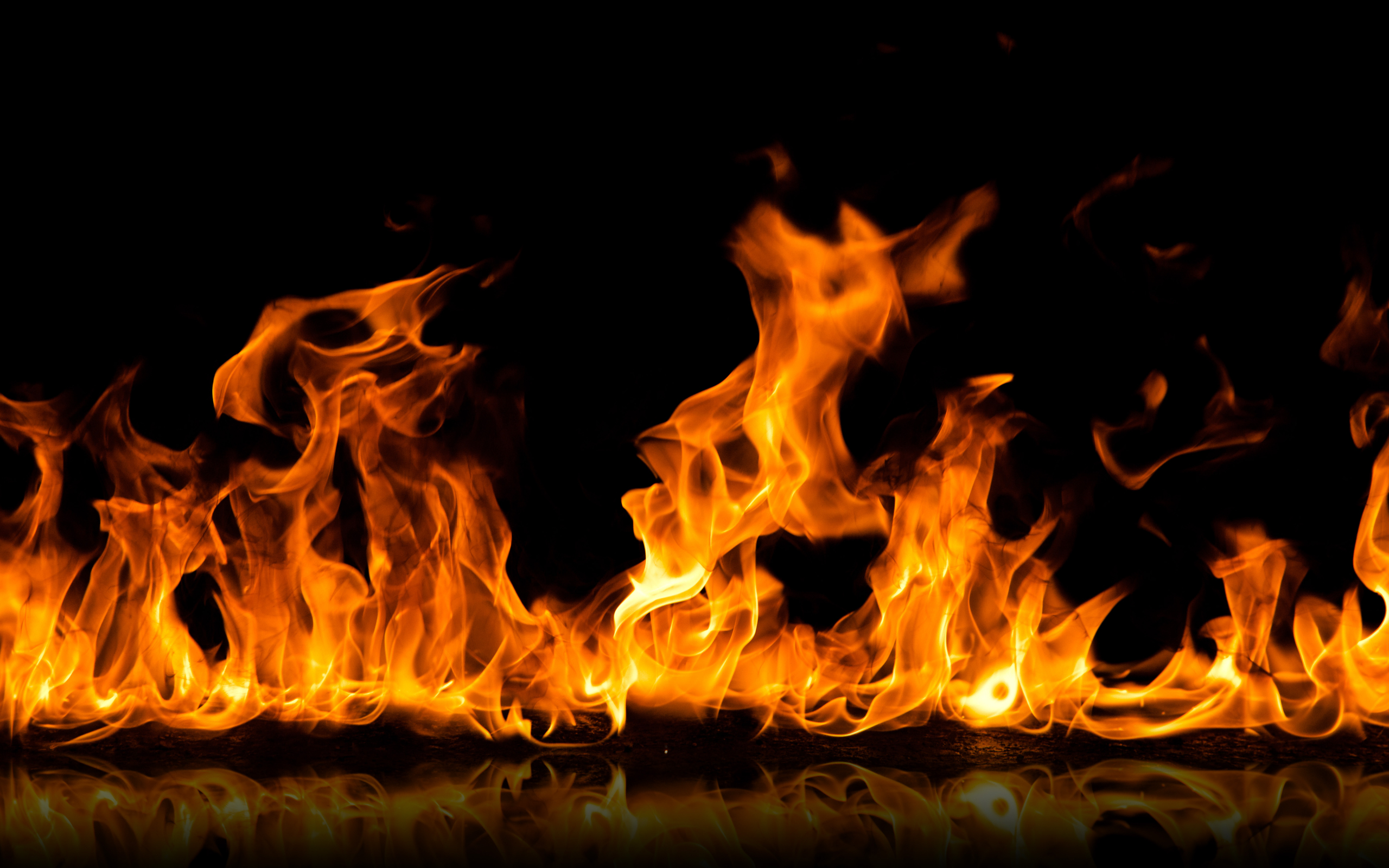 Під маєтком Порошенка символічно спалили «євробляху» (фото)