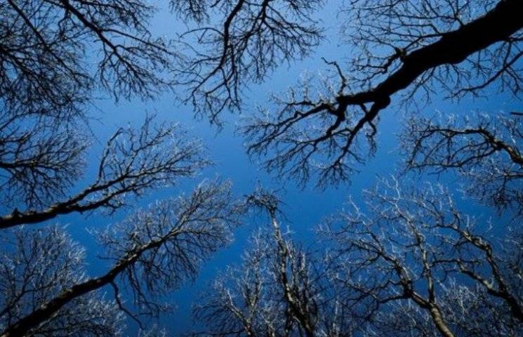 Хмарно з проясненнями: погода в Луцьку на понеділок, 4 березня