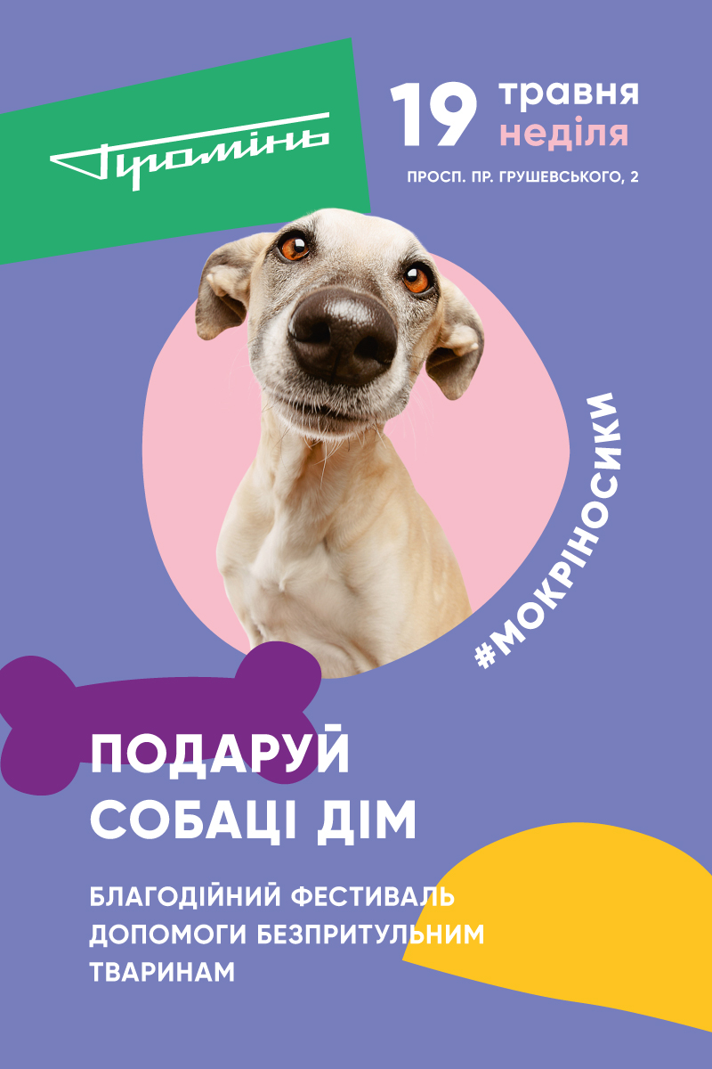 У «Промені» відбудеться фестиваль безпритульних собак #мокріносики*