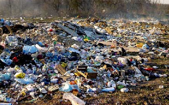 Луцькрада «влетіла» на чотири мільйони через сміття