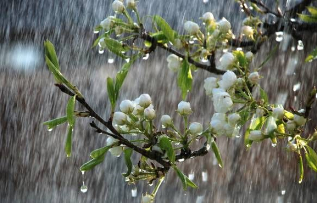 Хмарно і мокро: погода в Луцьку на суботу, 4 травня