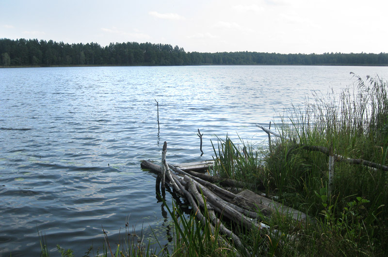 Підприємець привласнив озеро у Шацькому районі