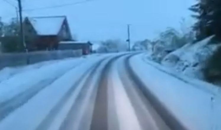 Карпати засипало снігом (відео)