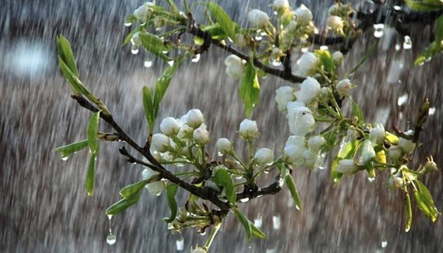 Весняні грози: погода в Луцьку на вівторок, 14 травня