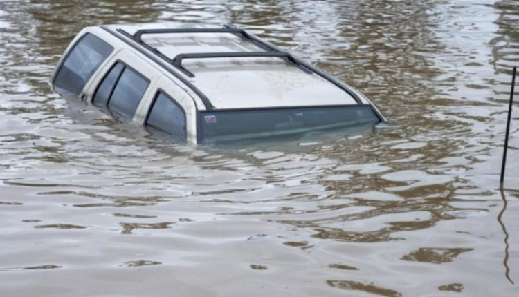 Негода у Луцьку: повалене дерево та затоплене авто