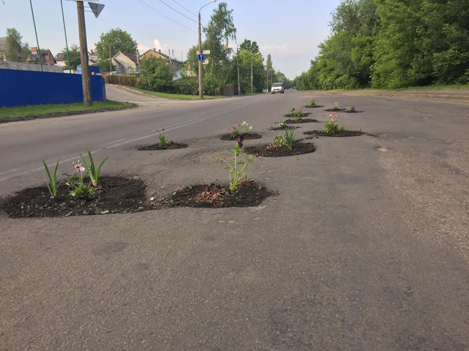 У Луцьку на двох вулицях у вибоїнах посадили квіти  (фото, оновлено)