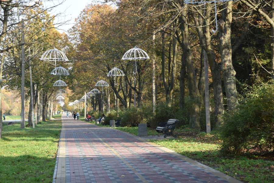 У центральному парку Луцька хочуть знести конструкції