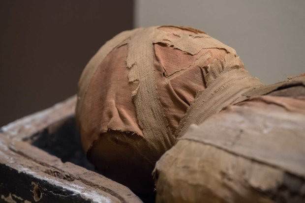 Знайшли мумію: у Володимирі труп чоловіка пролежав у квартирі понад рік