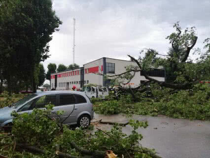 Сусідньою Польщею пронісся шторм: зламані дерева і перенесені рейси (фото)