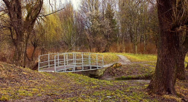 Величезна яма: у Луцьку просять відремонтувати аварійний міст у парку (фото)