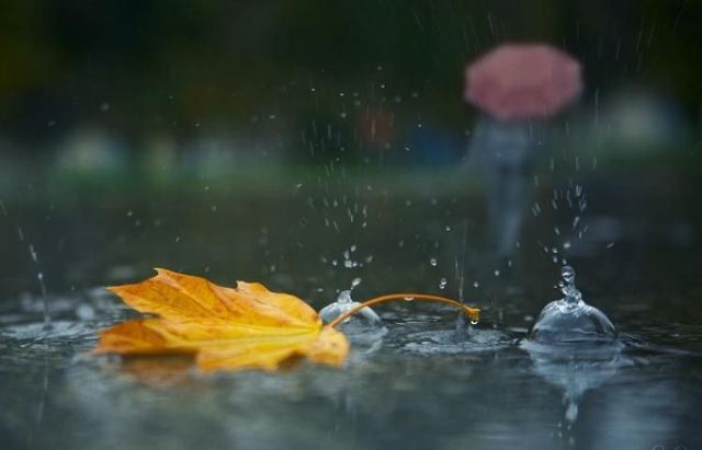 Осінь нагадає про себе: погода в Луцьку на вівторок, 3 вересня