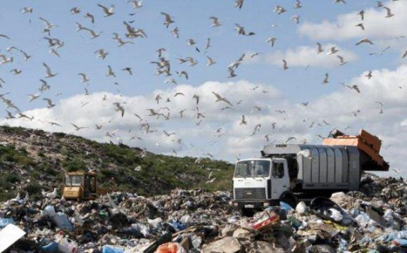 Сморід, зараження ґрунту й повітря: в Україні візьмуться за сміттєві полігони