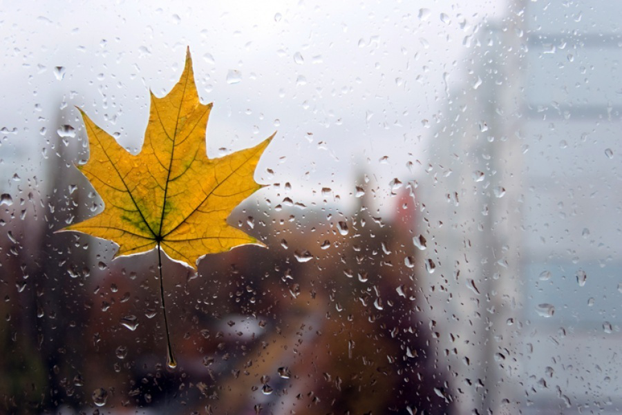 Холодно і мокро: погода в Луцьку на четвер, 19 вересня
