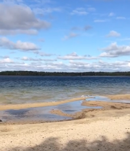 Слідом за Світязем може зникнути і озеро Пісочне (відео)