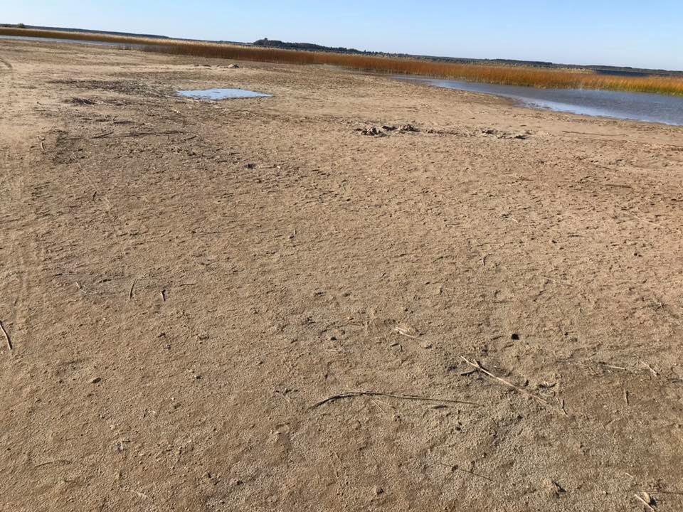 Порожній і спустошений: волинянин опублікував фото озера Світязь (фото)