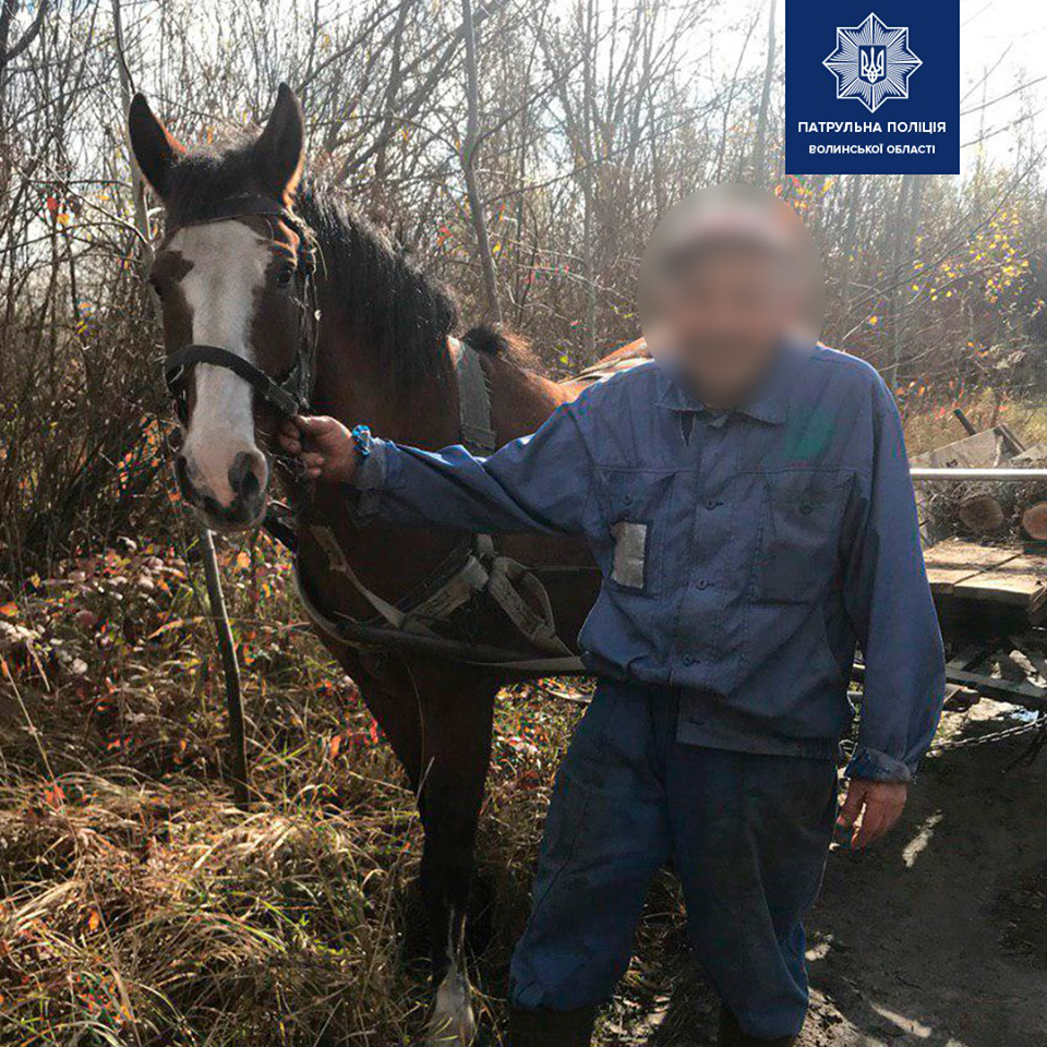 Біля Ковеля патрульні ловили коня з возом, який втік від господаря (фото)