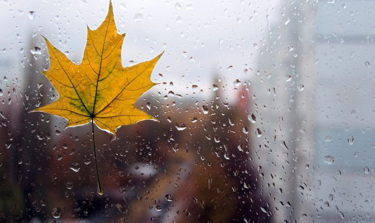 Буде тепло, але задощить: погода в Луцьку на середу, 6 листопада