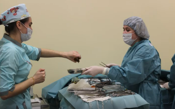 У Ковелі медики успішно «пересадили» нирку жінці (відео)
