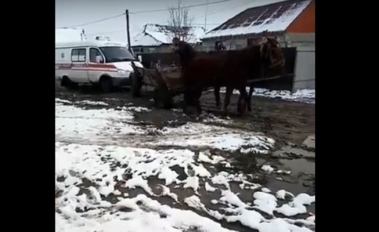 На Закарпатті коні тягнули «швидку» з пацієнтом (відео)