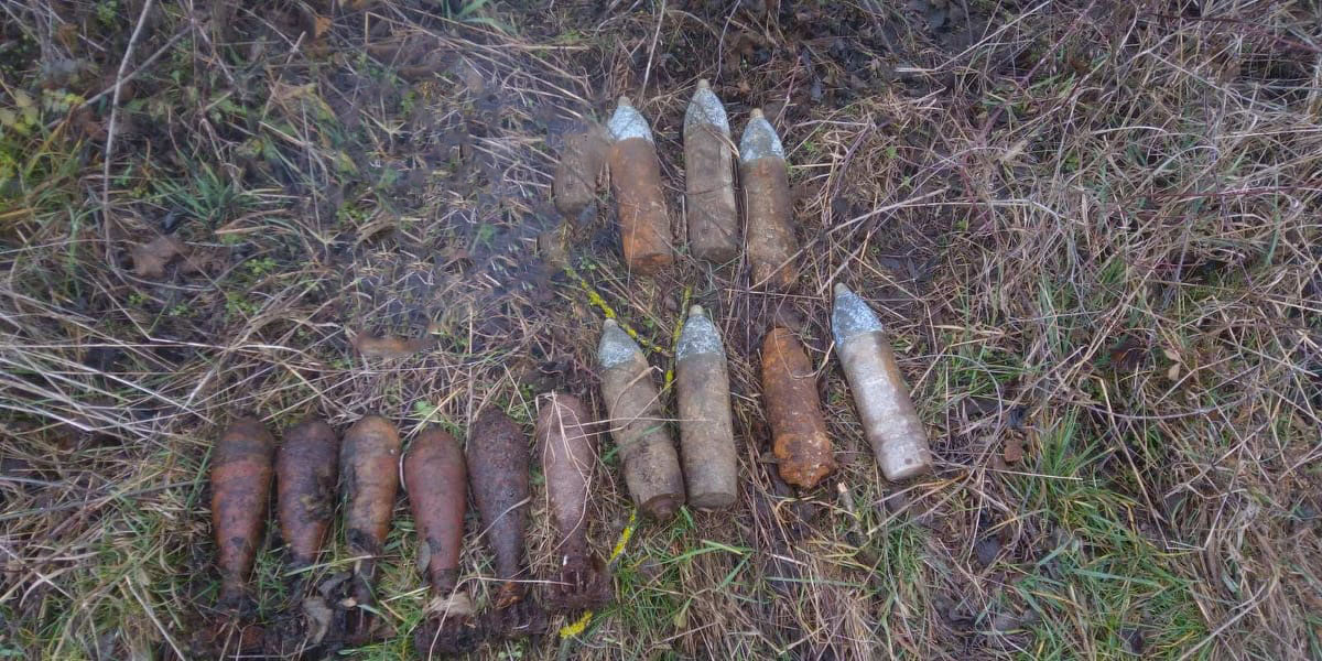 Волинські сапери знешкодили 15 воєнних боєприпасів