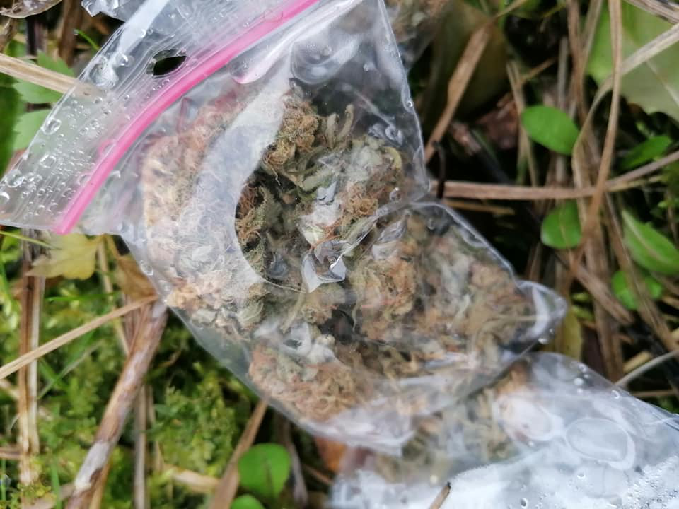 У луцькому парку знайшли близько 20 пакетів із марихуаною (фото)