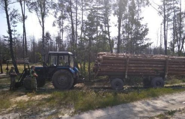 На Волині зупинили трактор із краденою деревиною